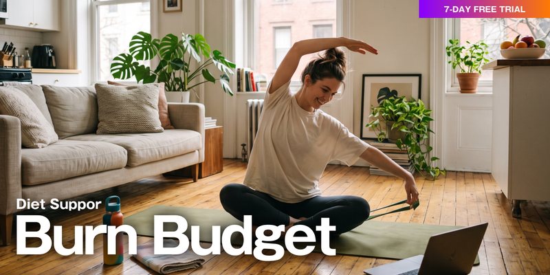 BurnBudget