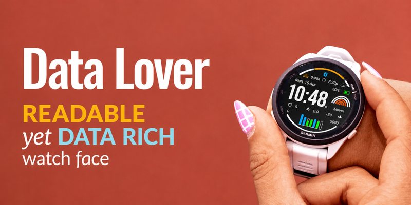 Data Lover