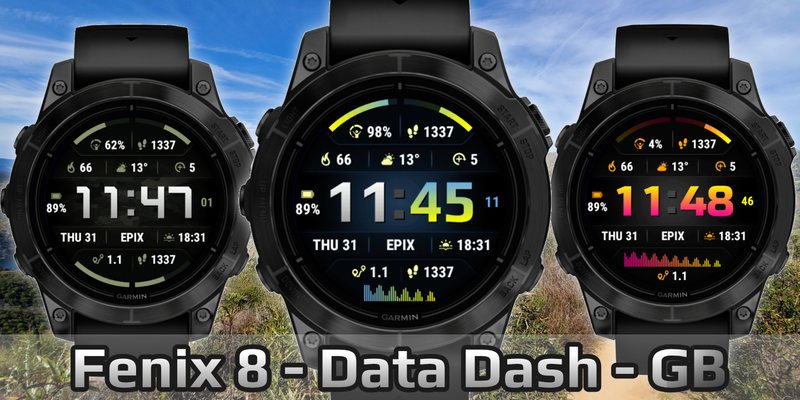 Fenix 8