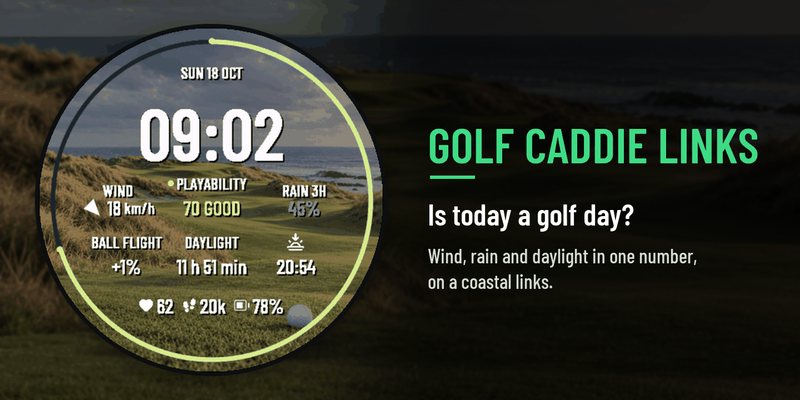 Golf Caddie Links