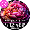 Daily Flower