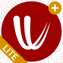 Windy.com Weather Widget Lite