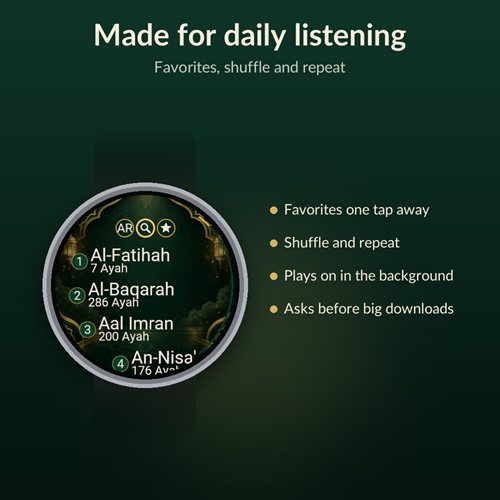 Quran (Koran) Audio screenshot 5
