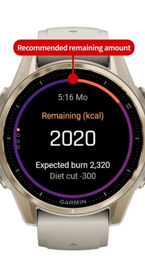 BurnBudget screenshot 1