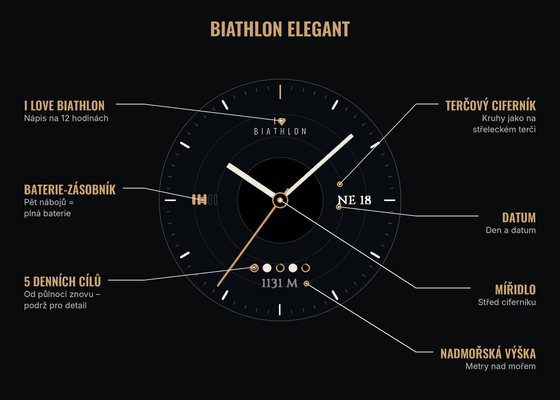 Biathlon Elegant screenshot 2