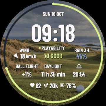 Golf Caddie Links screenshot 2