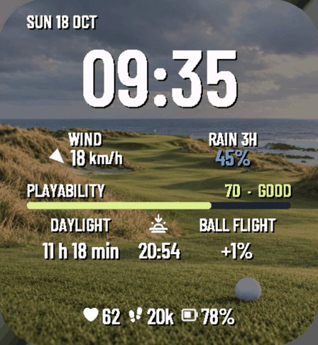 Golf Caddie Links screenshot 3