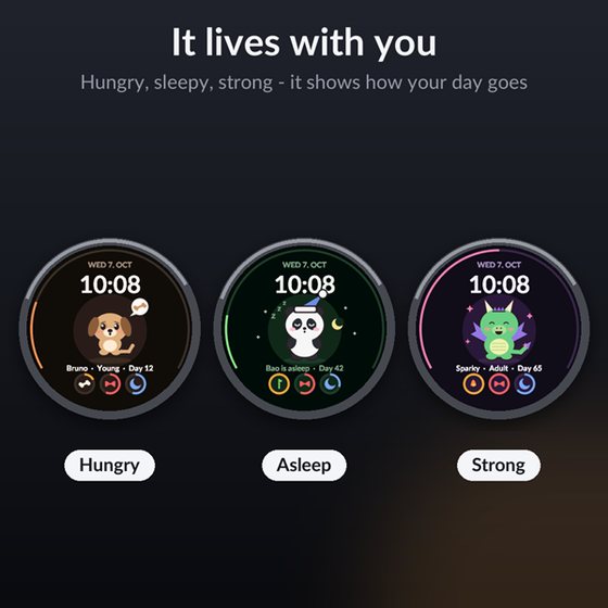 Petbook screenshot 3