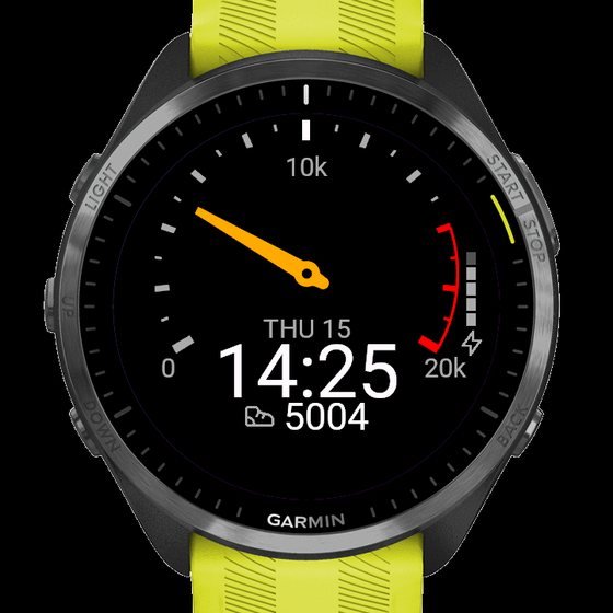 RevDay: speedometer for your steps screenshot 1