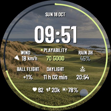 Golf Caddie Links screenshot 5