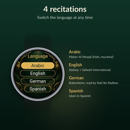 Quran (Koran) Audio screenshot 3
