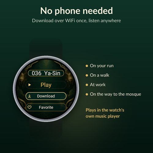 Quran (Koran) Audio screenshot 2
