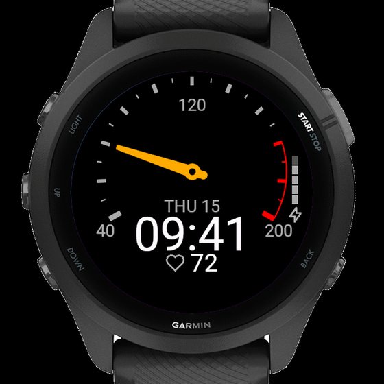 RevDay: speedometer for your steps screenshot 2