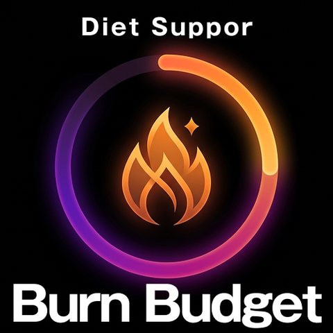 BurnBudget