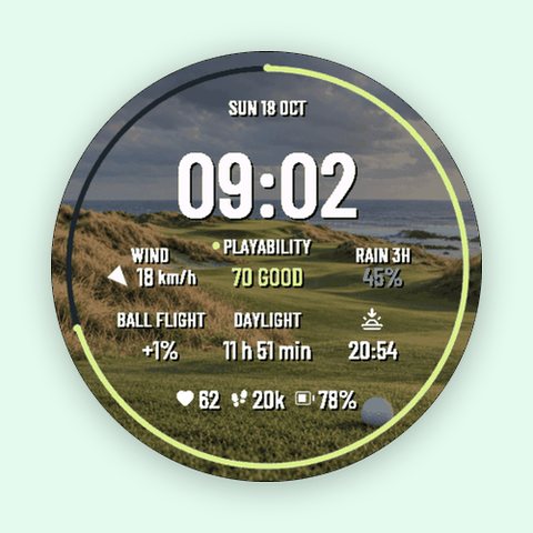Golf Caddie Links
