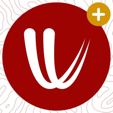 Windy.com Weather Widget