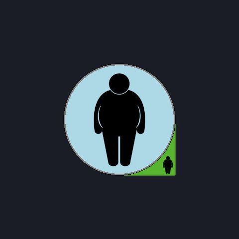 Fat Burner